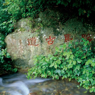  公私協力維護跑馬古道景觀植栽，延伸低海拔山區原生鳥類生態廊道 